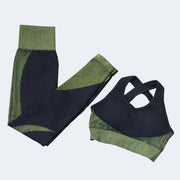 Women's 2pc Seamless Workout Set