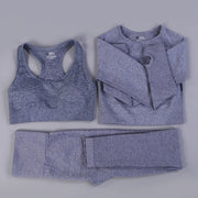 Seamless 3pc Workout Set