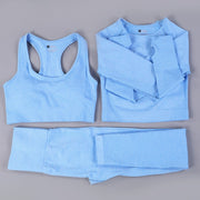 Seamless 3pc Workout Set